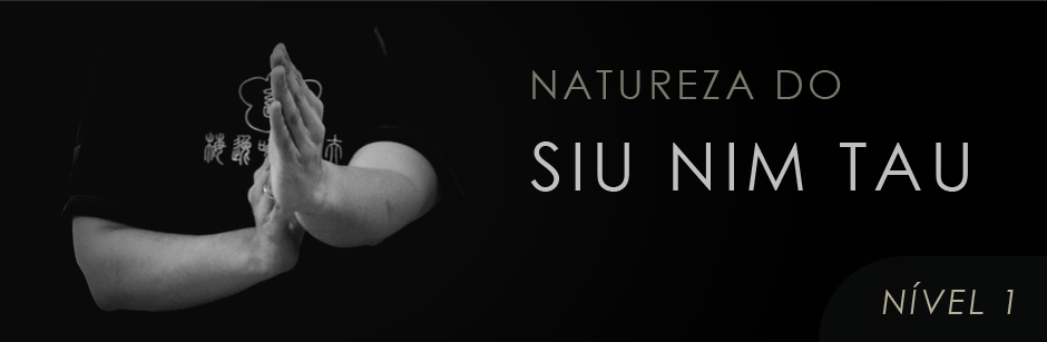 Natureza do Siu Nim Tau explorada no Ving Tsun Experience